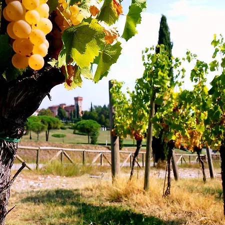 Casale In Collina * Каприва-дель-Фриули
