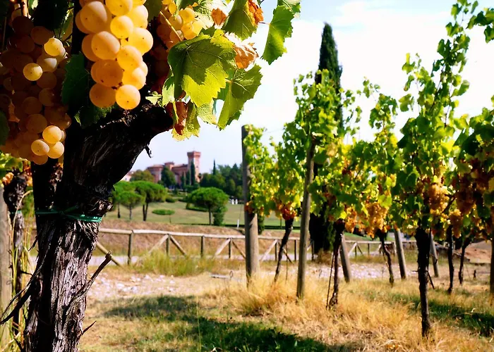Casale In Collina * Capriva del Friuli